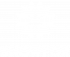 SnowFox 2024_wh